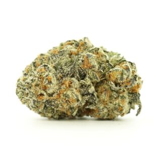 Close-up image of cannabis bud with frosty trichomes on a crisp white background