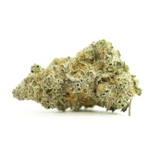 Close-up image of cannabis bud with frosty trichomes on a crisp white background