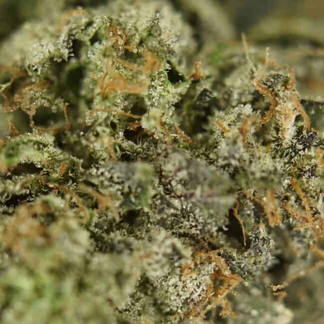 pp death bubba 2