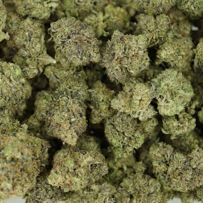 pp death bubba full