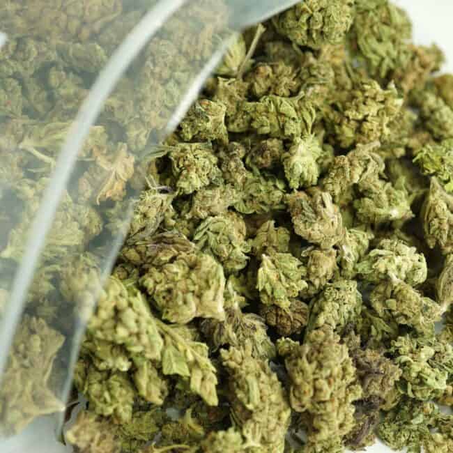 Close-up image of cannabis buds spilling out of a clear ZIP-ZAG plastic bag onto a white surface, showing dense green nugs with visible trichomes and orange hairs.