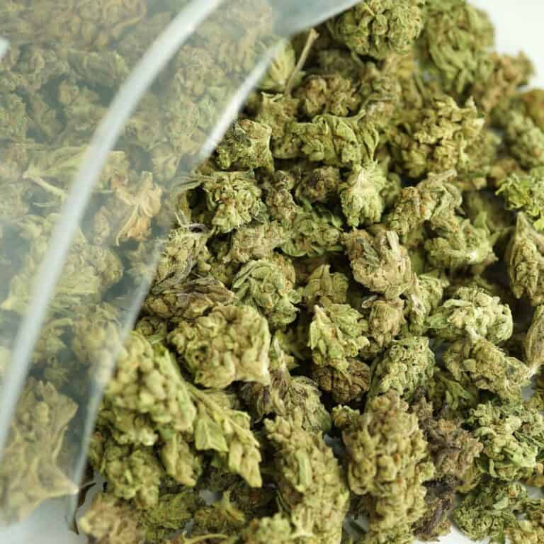 Close-up image of cannabis buds spilling out of a clear ZIP-ZAG plastic bag onto a white surface, showing dense green nugs with visible trichomes and orange hairs.