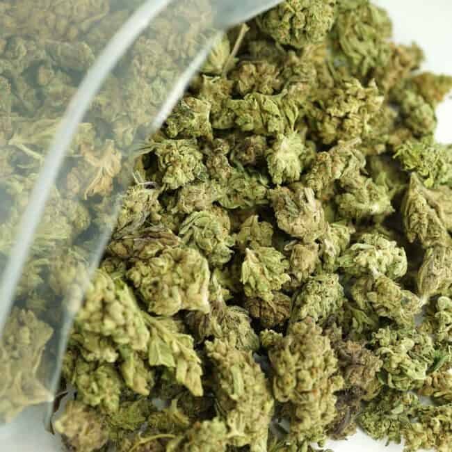 Close-up image of cannabis buds spilling out of a clear ZIP-ZAG plastic bag onto a white surface, showing dense green nugs with visible trichomes and orange hairs.