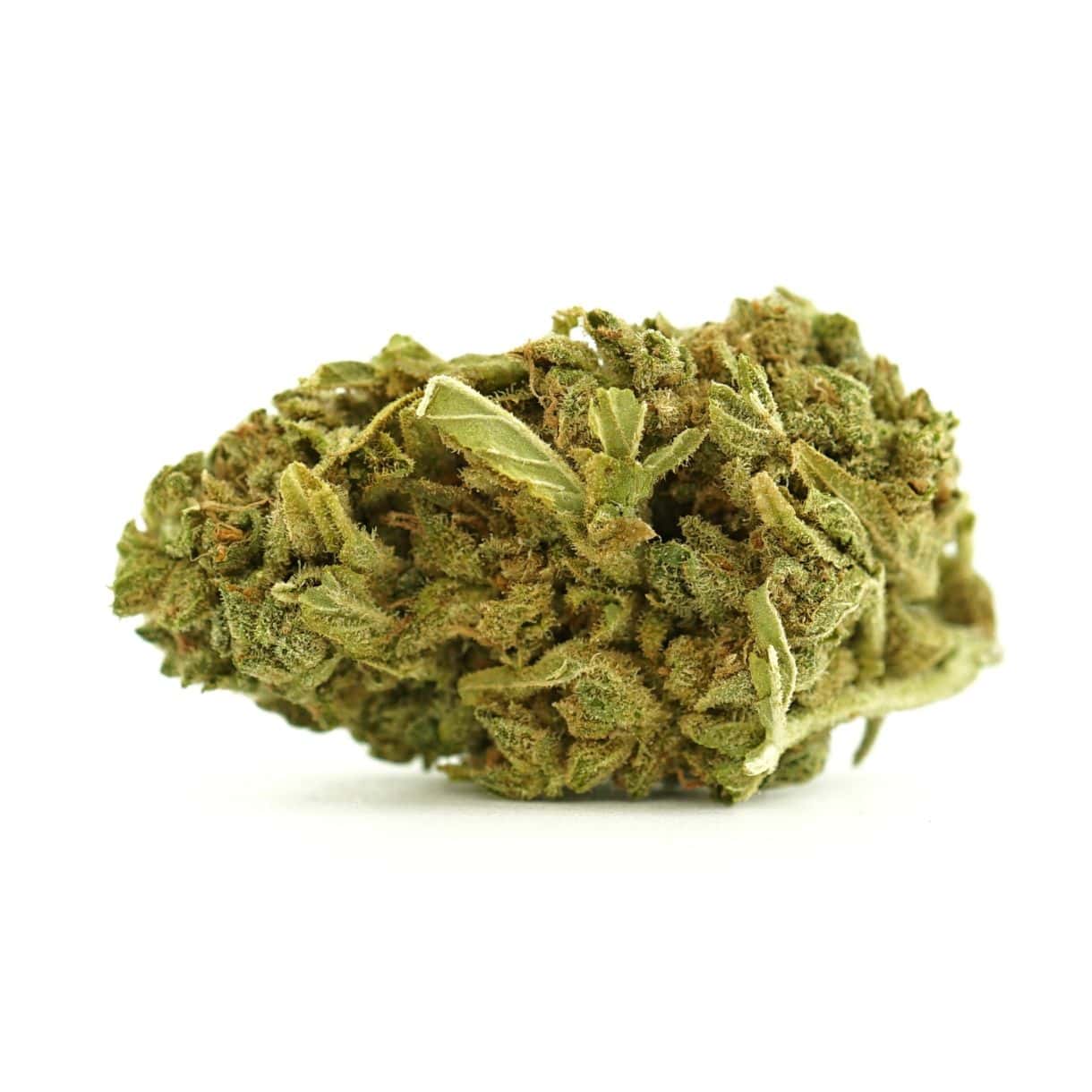 Cannabis flower bud close-up on white background