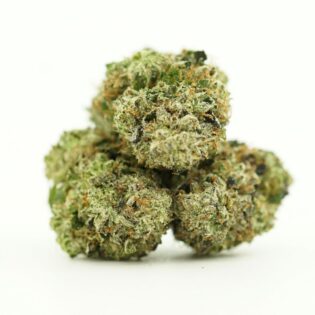 Close-up image of cannabis bud with frosty trichomes on a crisp white background