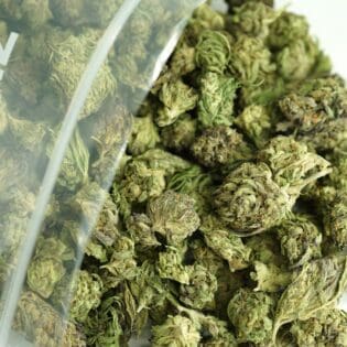 Close-up image of cannabis buds spilling out of a clear ZIP-ZAG plastic bag onto a white surface, showing dense green nugs with visible trichomes and orange hairs.