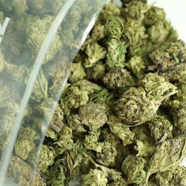 Close-up image of cannabis buds spilling out of a clear ZIP-ZAG plastic bag onto a white surface, showing dense green nugs with visible trichomes and orange hairs.