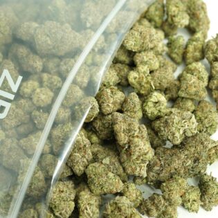 Close-up image of cannabis buds spilling out of a clear ZIP-ZAG plastic bag onto a white surface, showing dense green nugs with visible trichomes and orange hairs.