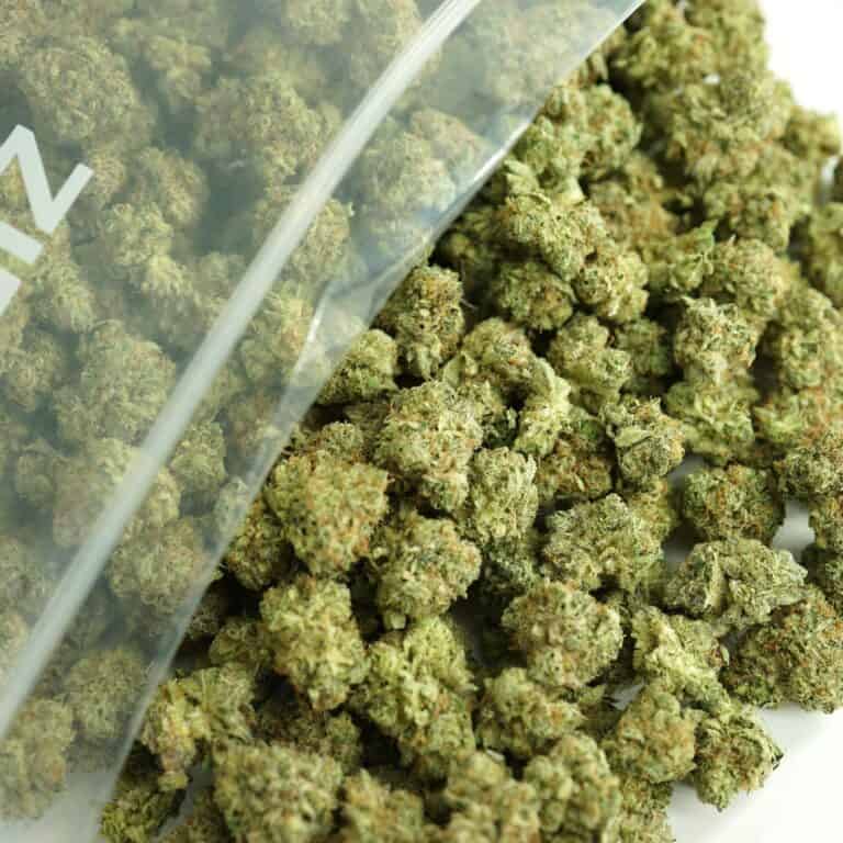 Close-up image of cannabis buds spilling out of a clear ZIP-ZAG plastic bag onto a white surface, showing dense green nugs with visible trichomes and orange hairs.