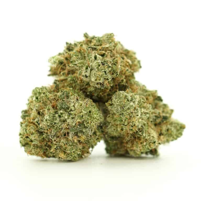 Close-up image of cannabis buds with frosty trichomes on a crisp white background