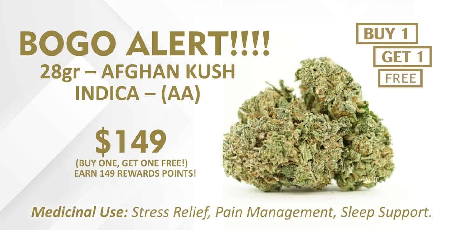 Promotional banner for Afghan Kush indica (AAA) 28g “BOGO ALERT” buy 1 get 1 free offer priced at $149, highlighting medicinal uses including stress relief, pain management, and sleep support.
