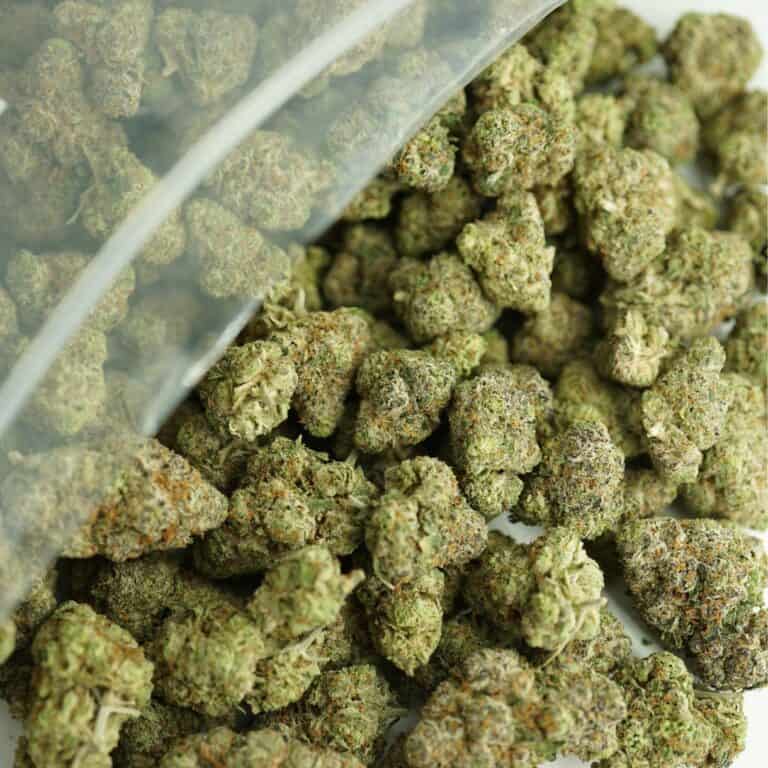 bulk candy kush close-up image of cannabis buds spilling out of a clear ZIP-ZAG plastic bag onto a white surface, showing dense green nugs with visible trichomes and orange hairs.