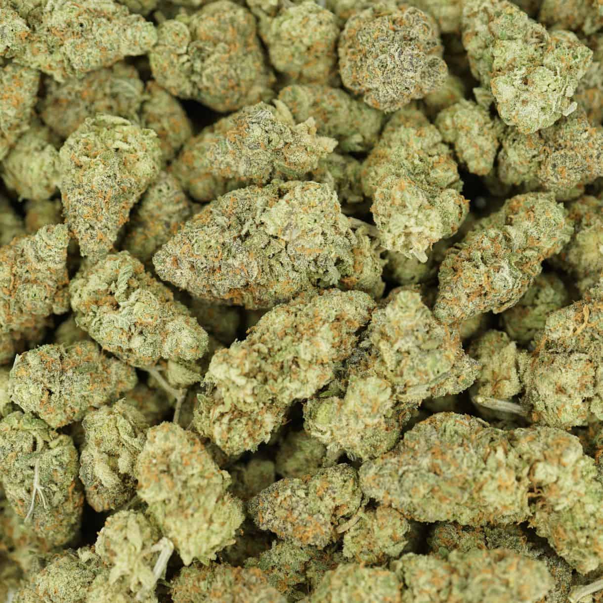 28gr - CHEESE - INDICA (AAA) - Image 3