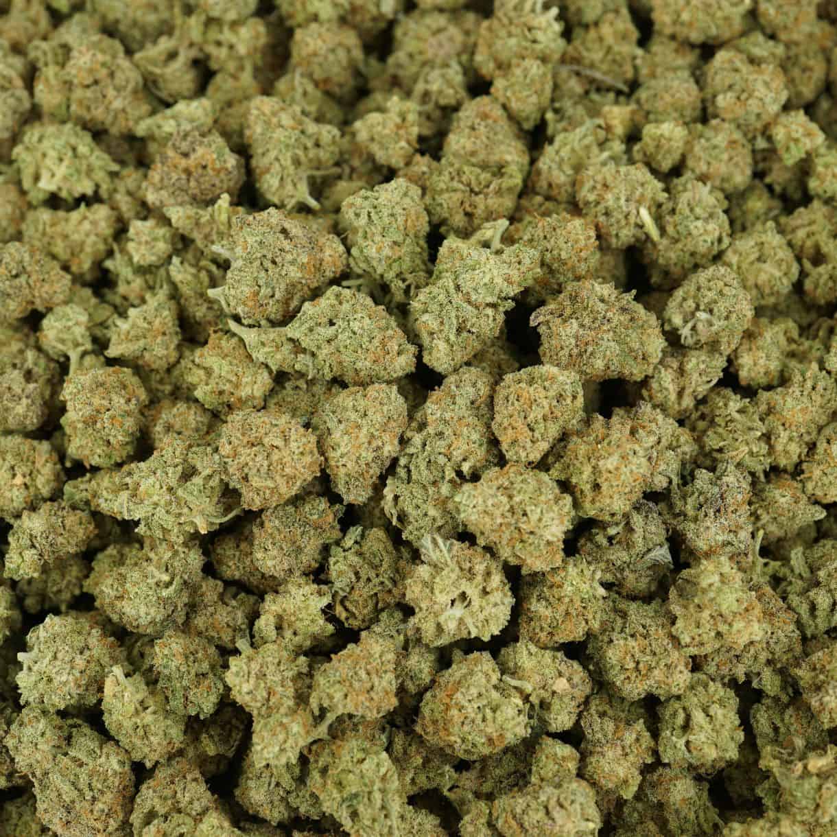 28gr - MAC DONUTS (SMALLS) - BALANCED HYBRID - (AAA) - Image 3