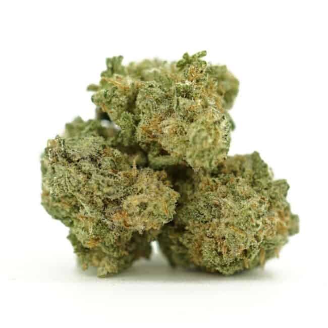 Dense mac donuts flower with frosty trichomes in foreground, glass jar softly blurred on a crisp white background