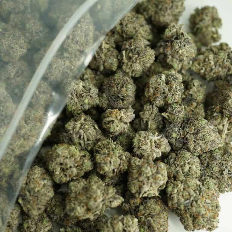 og kush breath close-up image of cannabis buds spilling out of a clear ZIP-ZAG plastic bag onto a white surface, showing dense green nugs with visible trichomes and orange hairs.