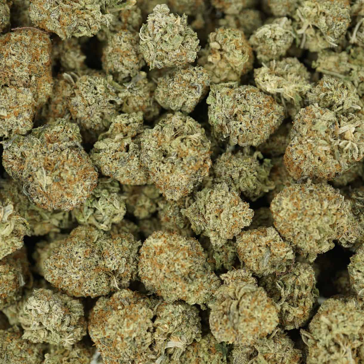 28gr - PINK GORILLA - INDICA - (AAA) - Image 3