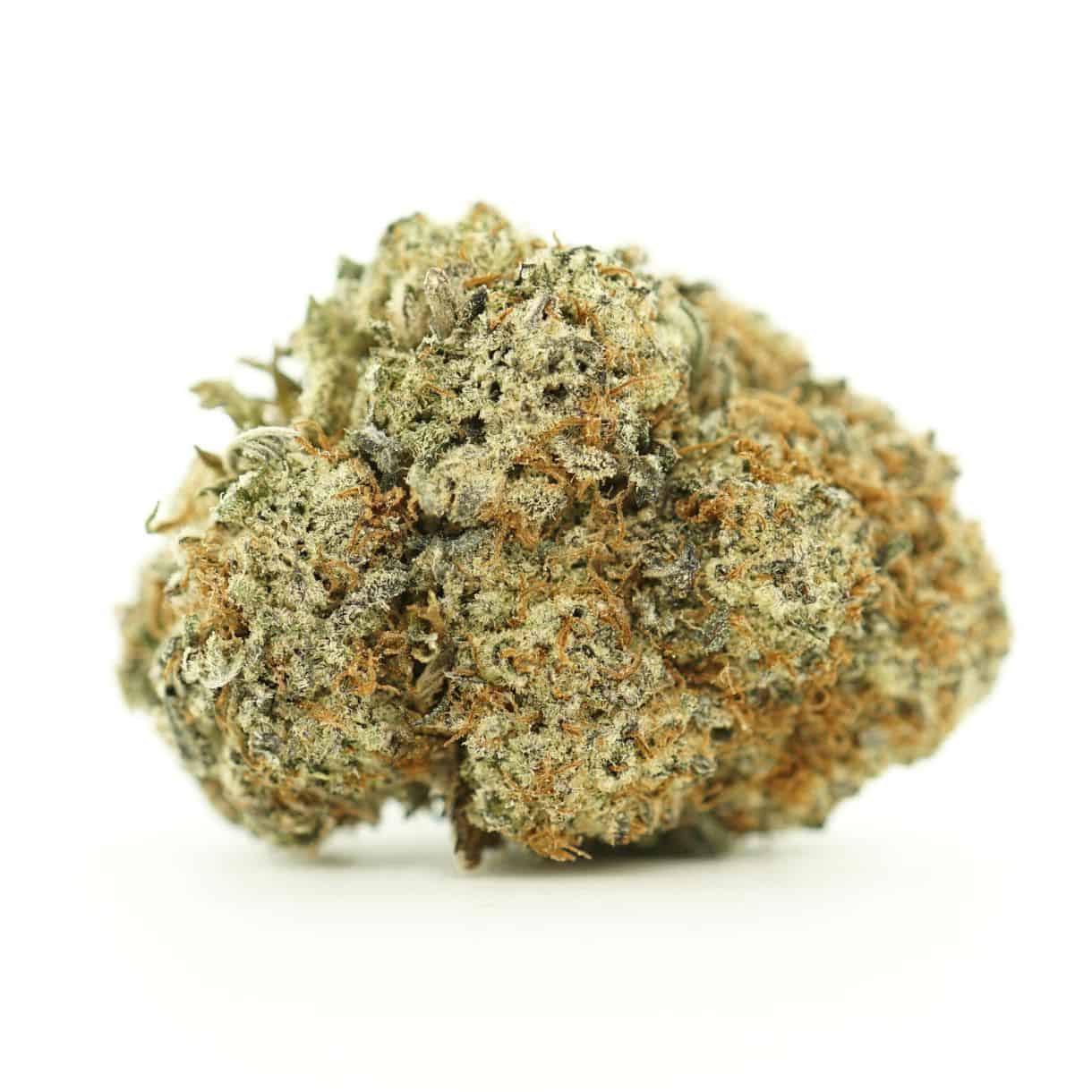 pink gorilla close-up image of cannabis bud with frosty trichomes on a crisp white background
