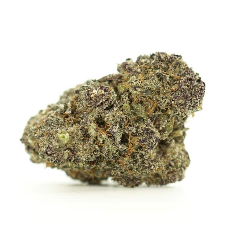 purple space cookies close-up image of cannabis bud with frosty trichomes on a crisp white background