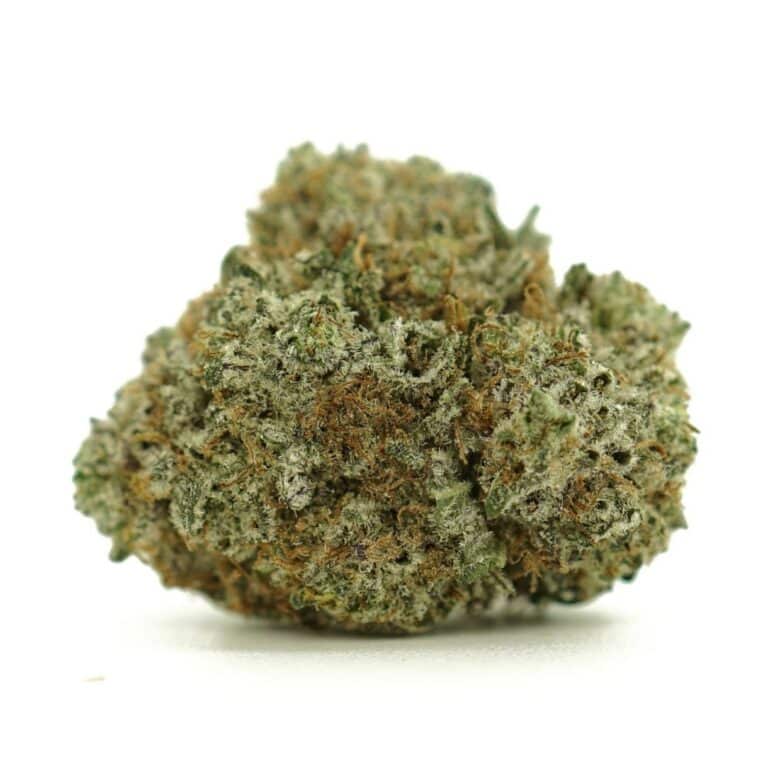 alien kush close-up image of cannabis bud with frosty trichomes on a crisp white background