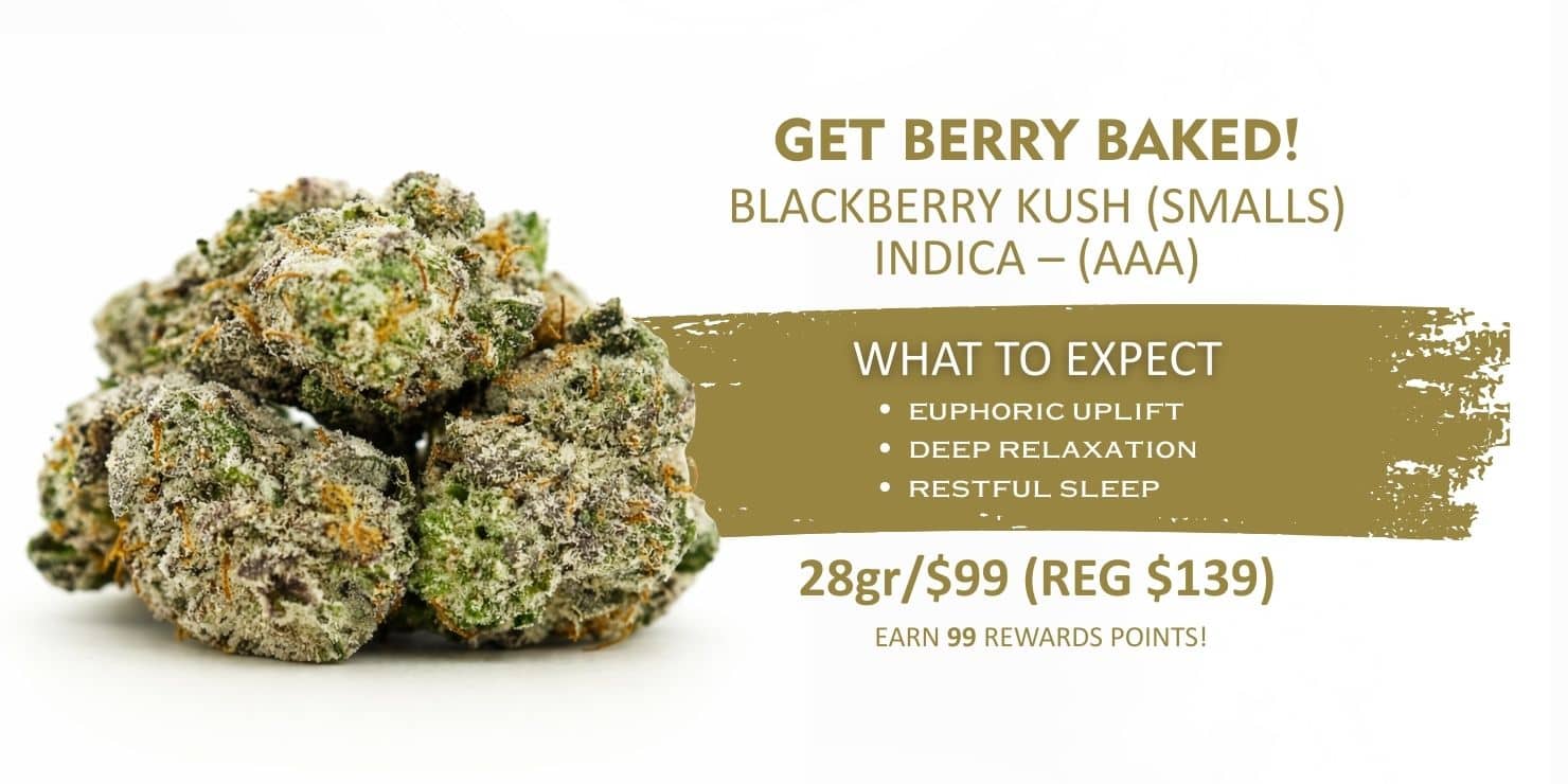 Get Berry Baked Black Berry Kush smalls AAA indica cannabis flower promotion, 28g for $99 regular $139.