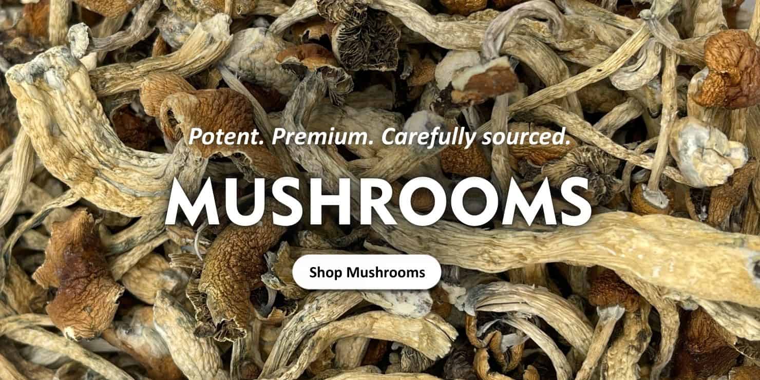 Premium dried mushrooms assortment with “Shop Mushrooms” call-to-action banner on homepage slider.