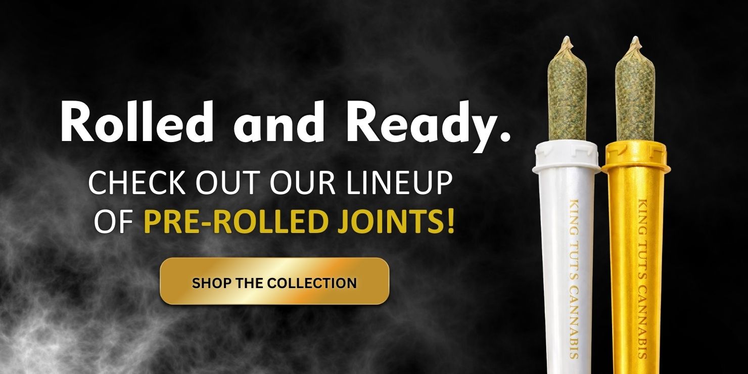Promotional banner reading “Rolled and Ready. Check out our lineup of pre-rolled joints” with two pre-roll tubes in white and yellow against a smoky dark background.