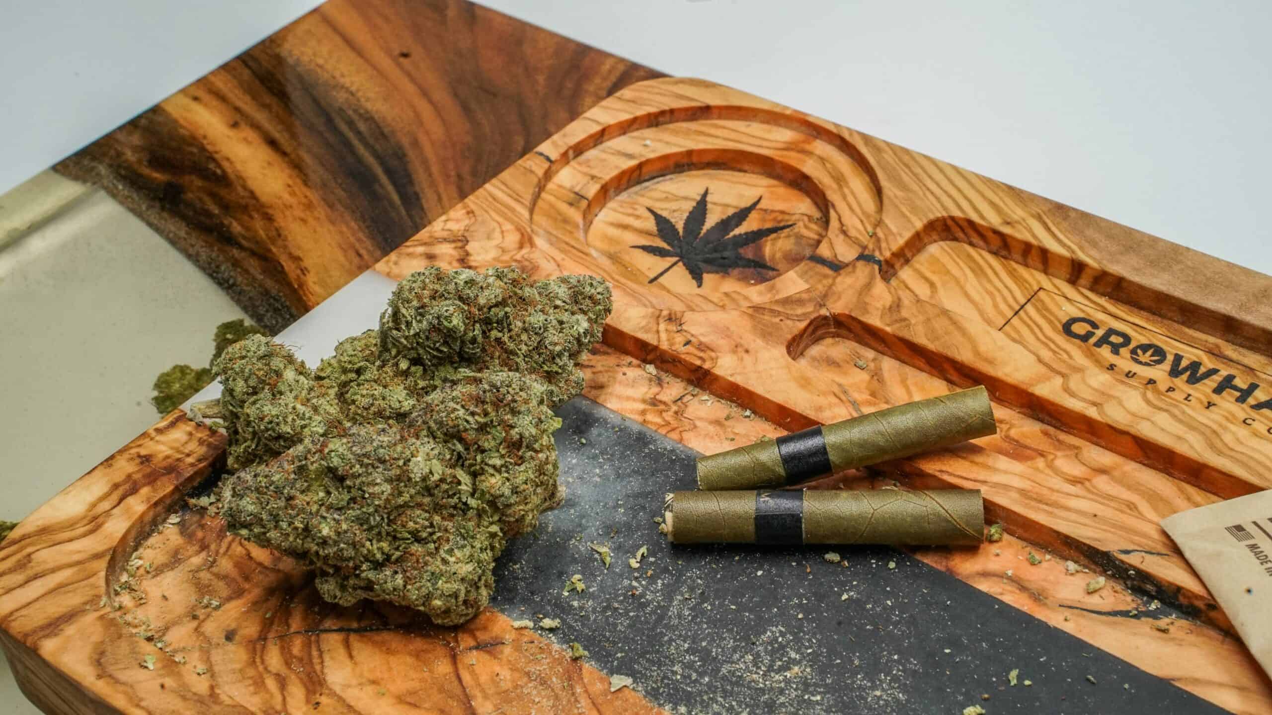 buy bulk flower online