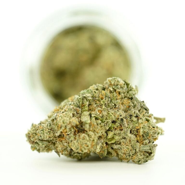 black maple close-up image of cannabis bud with frosty trichomes on a crisp white background