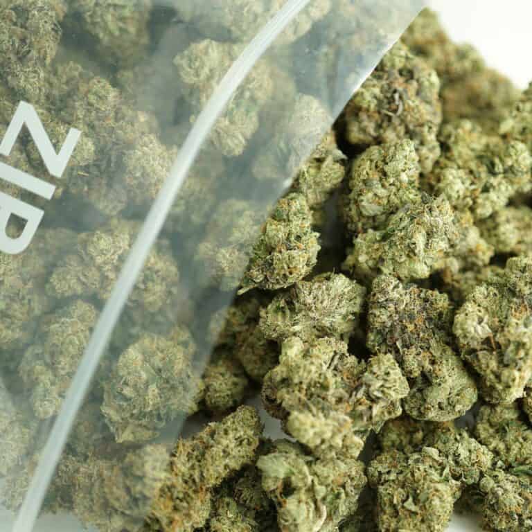 black tuna bulk close-up image of cannabis buds spilling out of a clear ZIP-ZAG plastic bag onto a white surface, showing dense green nugs with visible trichomes and orange hairs.