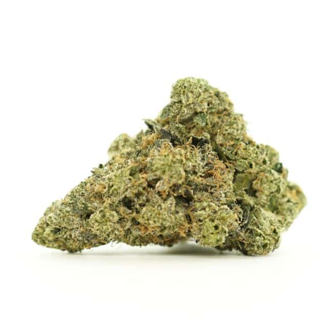 pp black tuna bulk single