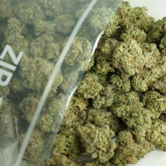 pp death star bulk