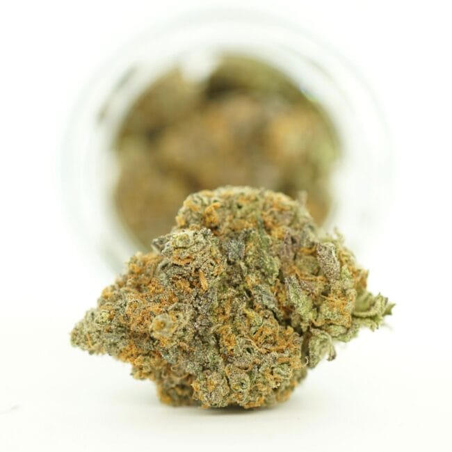 pp dutch treat main