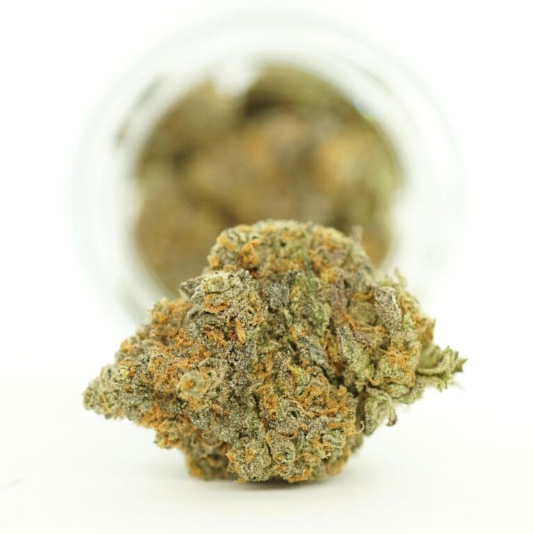 dutch treat close-up image of cannabis bud with frosty trichomes on a crisp white background