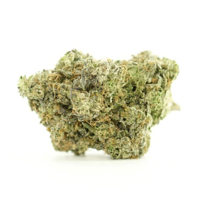 pp gas truff bulk gal