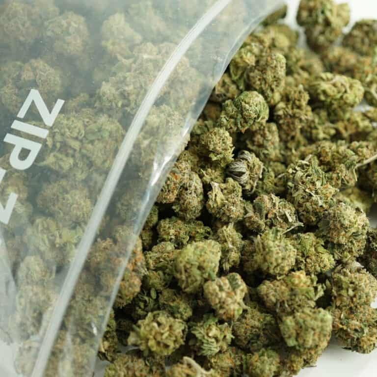 gastro pop close-up image of cannabis buds spilling out of a clear ZIP-ZAG plastic bag onto a white surface, showing dense green nugs with visible trichomes and orange hairs.