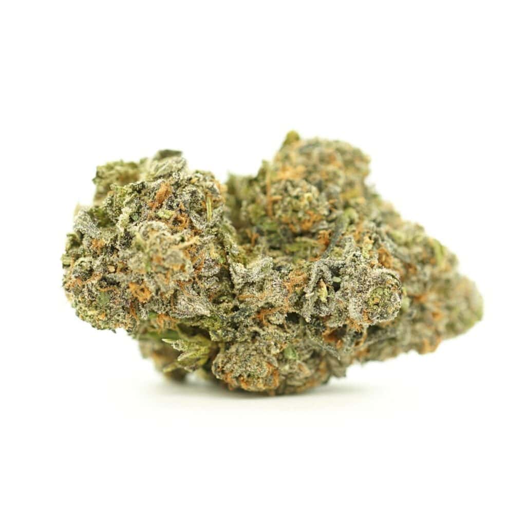 gastro pop close-up image of cannabis bud with frosty trichomes on a crisp white background