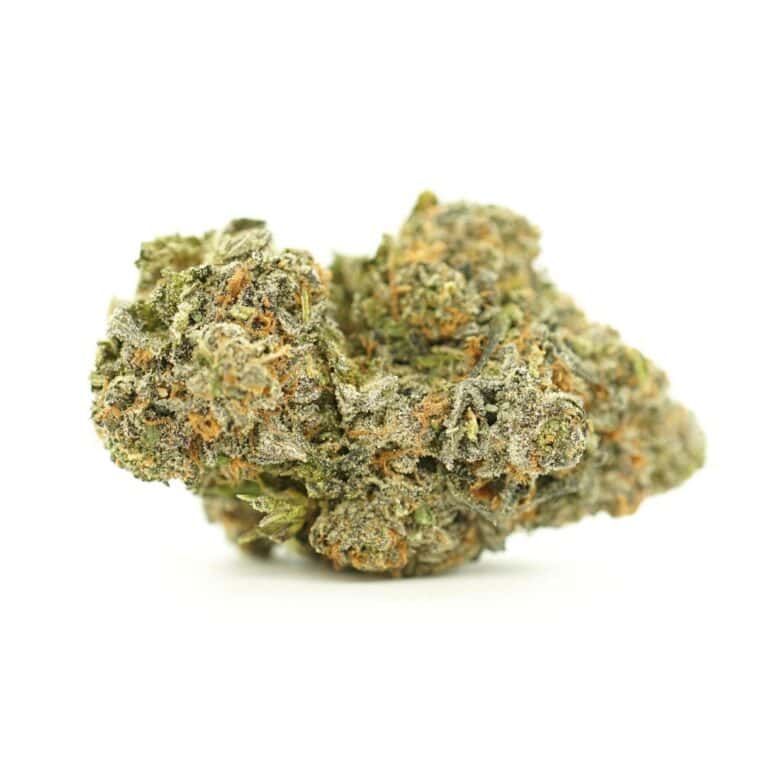 gastro pop close-up image of cannabis bud with frosty trichomes on a crisp white background