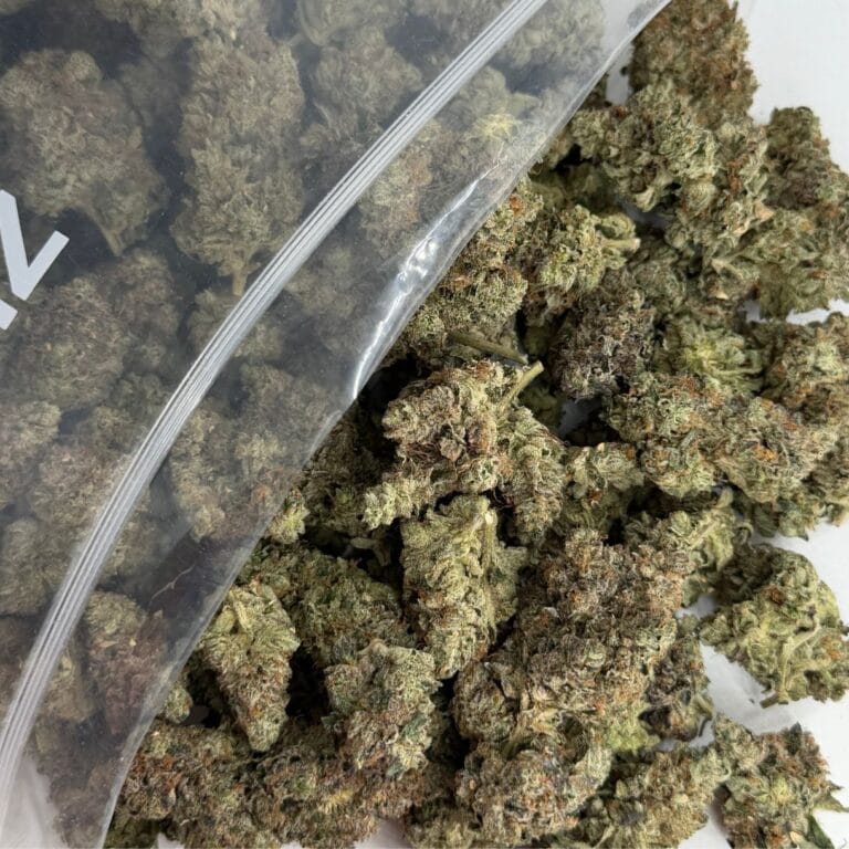 Image en gros plan de bourgeons de cannabis roses de la marque Gucci débordant d'un sachet en plastique transparent ZIP-ZAG sur une surface blanche, montrant des têtes denses et vertes avec des trichomes visibles et des poils orange.