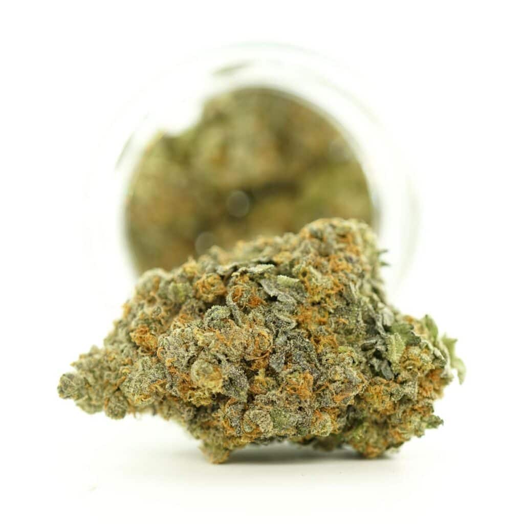 lala land close-up image of cannabis bud with frosty trichomes on a crisp white background
