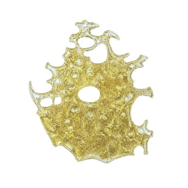 Close-up of a now n' laterz shatter translucent golden cannabis concentrate slab with a porous, lace-like texture on a crisp white background.