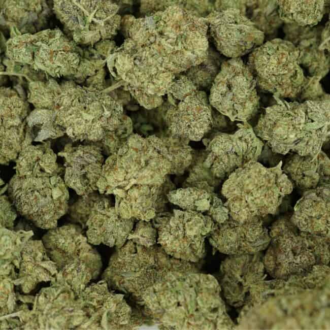 pp platinum girl scout cookies full
