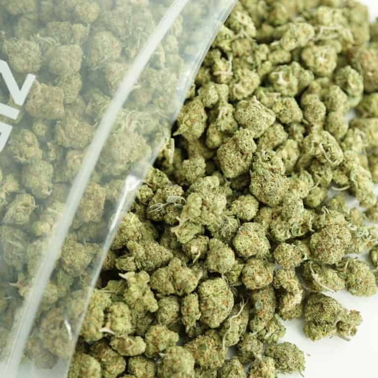 close-up image of cannabis buds spilling out of a clear ZIP-ZAG plastic bag onto a white surface, showing dense green nugs with visible trichomes and orange hairs.