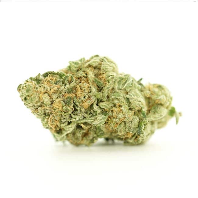 pp white widow main