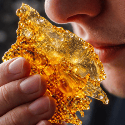 Cannabis shatter showing terpene-rich texture and aroma quality