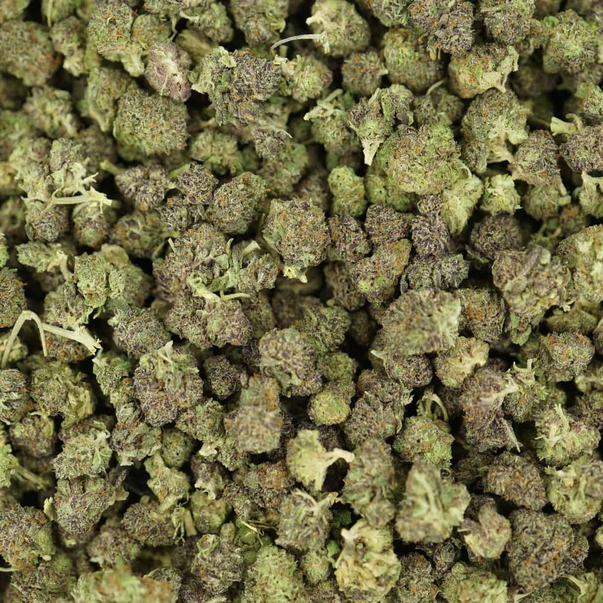 top view of cannabis buds with dense structure, frosty trichomes, and light green coloration