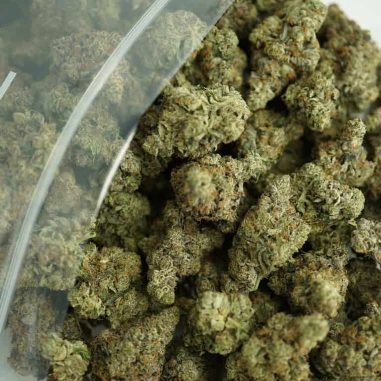 GUCCI PINK BULK close-up image of cannabis buds spilling out of a clear ZIP-ZAG plastic bag onto a white surface, showing dense green nugs with visible trichomes and orange hairs.