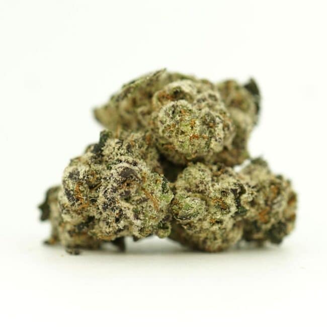 pp animal sherbert smalls main