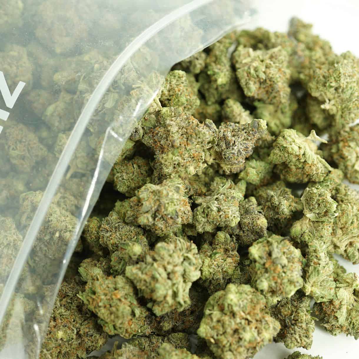 bubba kush bulk close-up image of cannabis buds spilling out of a clear ZIP-ZAG plastic bag onto a white surface, showing dense green nugs with visible trichomes and orange hairs.