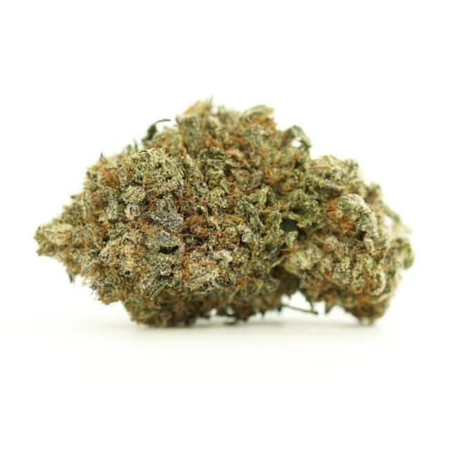 pp grapefruit haze main